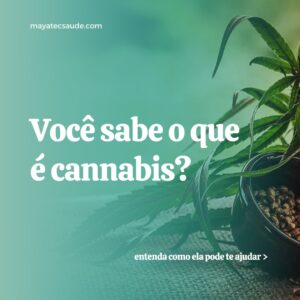 Você sabe o que é cannabis?
